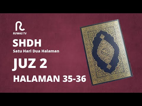 Video: Roundup EA Kasual • Halaman 2