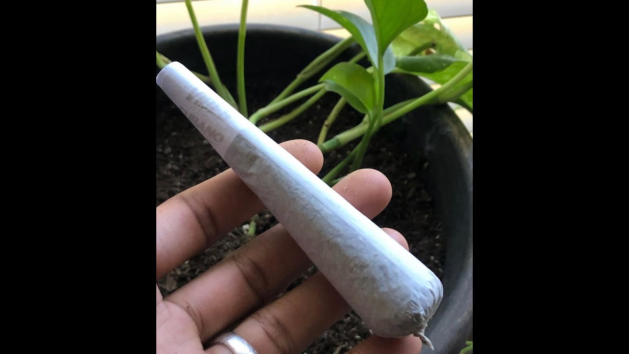 7 GRAM JOINT!!! (VIBE CUBANO)