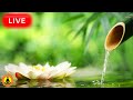 🔴 Relaxing Music 24/7, Stress Relief Music, Sleep Music, Meditation Music, Study, Calming Music