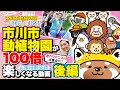 【見れば市川市動植物園が100倍楽しくなる】愛月大使が行く！市川市動植物園一日園長 de PR !!!!!《後編》