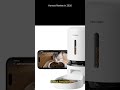 PETLIBRO Automatic Cat Feeder with Camera: Honest Review in 2026 #Shorts