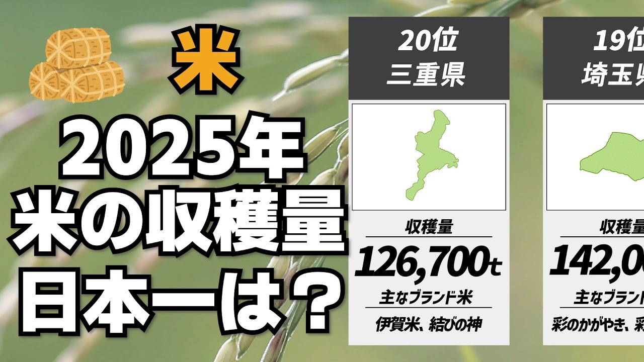 【2025年】米の収穫量日本一の都道府県はどこ？【TOP20】