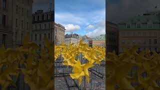 IMG 9595 3