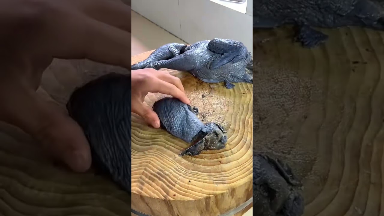 chicken cutting is not a job it's a skills