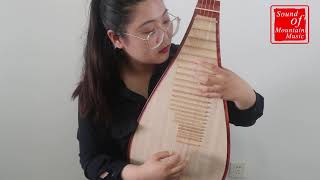 Premium Quality Rosy Sandalwood Pipa Instrument Chinese Lute With Accessories