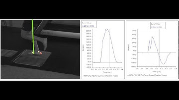 Midfoot runner: ground reaction forces