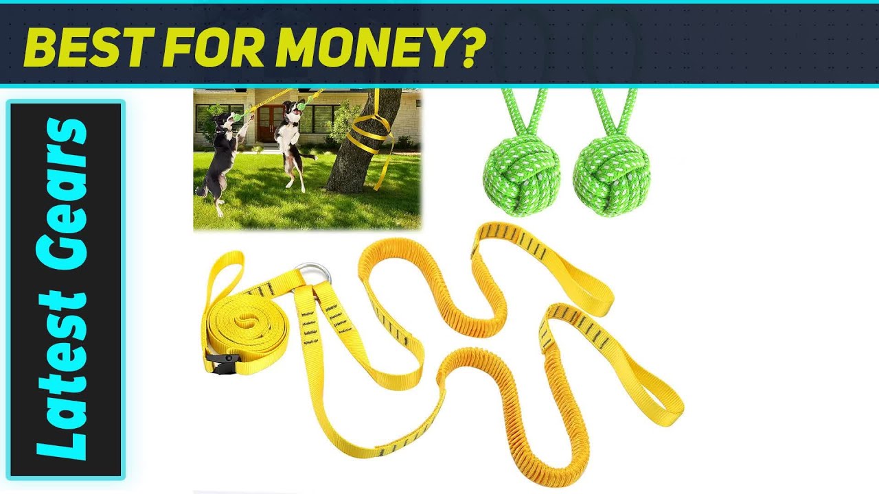 Dog Hanging Bungee Tug Toy: Greatest Tug-of-War Fun!