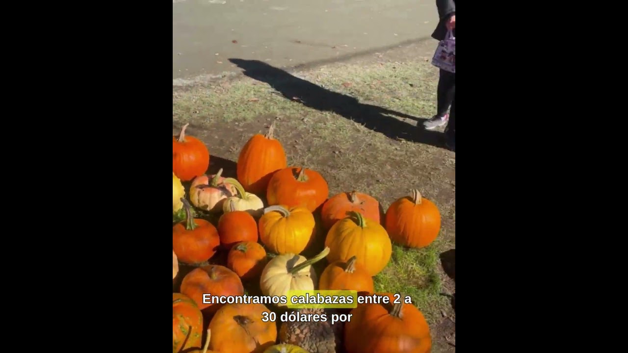 Un día perfecto en Silver Meadows Farm - Parksville