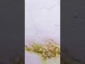 Impermeabiliza  olvidate de la humedad en tu techo #viral #sayer #imperméable #humedad #arquitectura