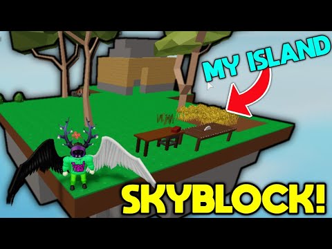 I Grieved My Own Island Strategy Roblox Skyblock - dang it bobbeh roblox