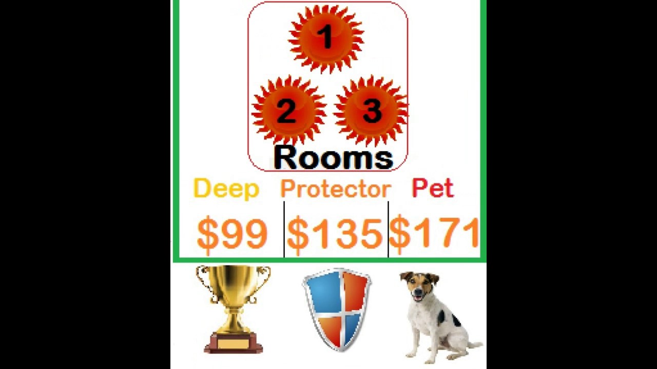 carpet cleaning hudson ny Sunshine Carpet Cleaning Mobile Video