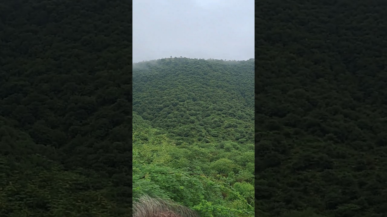 Green Nature & Peaceful Road Trip