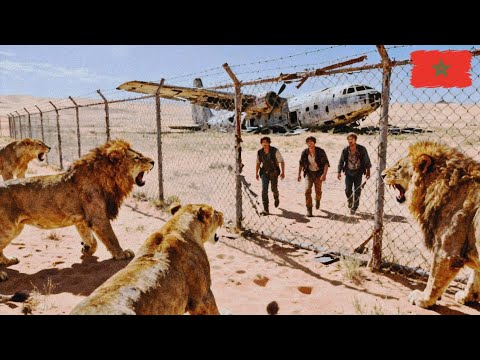 ✈️طائرة تسقط في محمية أسود نادرة ومتوحشةوعليهم النجاة بذكاء!