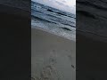 بحر يا بحر خليك راجل واحكم بيتك