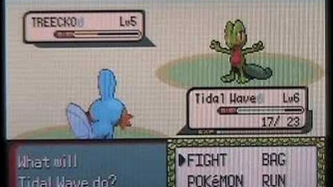 Pokemon Emerald Walkthrough Part 2