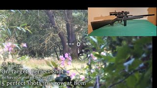 80m Range Testing (Part 1) a £2K ROGUEWORX CUSTOM AIRSOFT LEVER-ACTION GAS SNIPER RIFLE