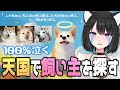 【My Little Puppy】愛犬家は100%泣くゲーム