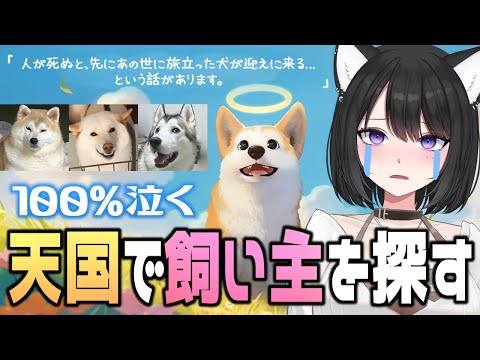 【My Little Puppy】愛犬家は100％泣くゲーム