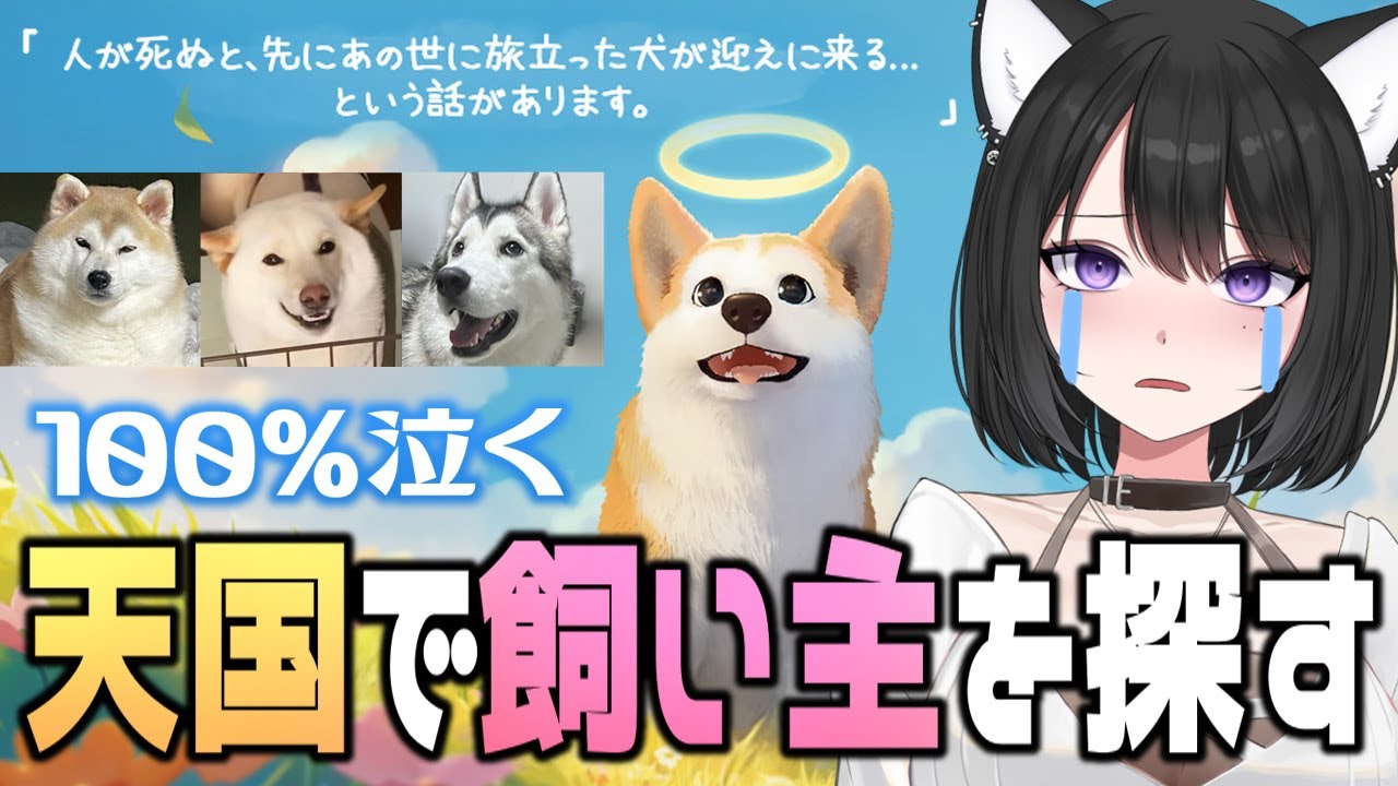 【My Little Puppy】愛犬家は100%泣くゲーム