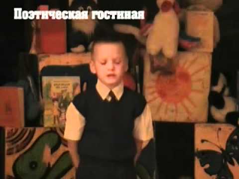 Про Вовку, Черепаху и кошку