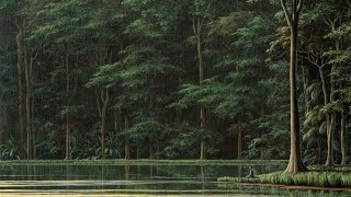 видео: Медитация на восприятии I Бхантэ Хенепола Гунаратана картинка: Медитация на восприятии I Бхантэ Хенепола Гунаратана