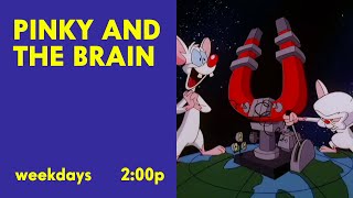 Cntwo - Cn Pastel Pinky And The Brain Fan-Made Promo