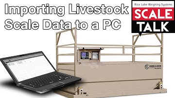 ScaleTalk: Importing Livestock Scale Data from a Flash Drive to a PC