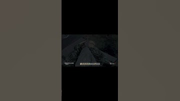 Bang DayZ And Its Bugs