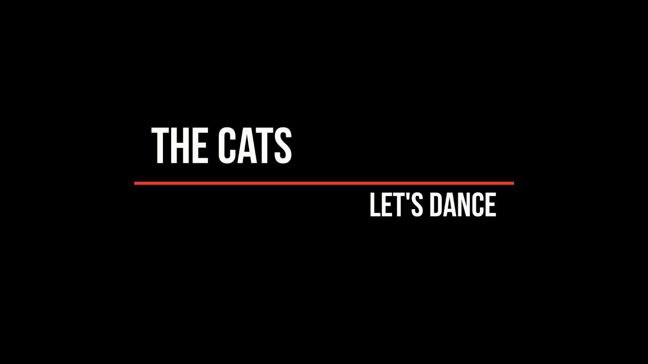 Im A Kitty Cat And I Dance Dance Dance Lyrics