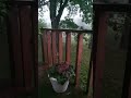 Indiana Rain ⛈️⛈️💧