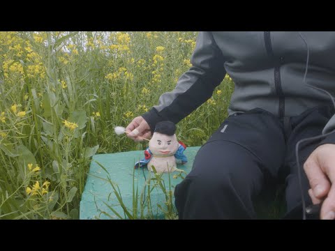 菜の花畑で鳥の鳴き声を聴きながら耳かきしてみた (Notalking ASMR)