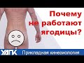 К чему приводит гипотонус ягодиц? (Кирдогло Г.К.)