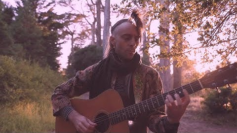 Waterstrider - Wanderings - Sublimate