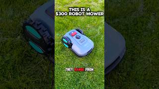 This is a $300 Robot Mower In Mowing Action! Ive Wondered How Budget Mowers Performed, Here It Is!