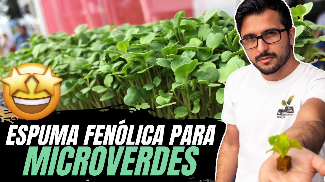 🌱 Espuma Fenólica para Microverdes / Microgreens (OASIS)