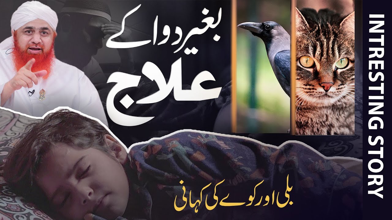 Billi Or Kala Kawwa | Sadqa Or Bimari | Bimari Ka Ilaj  | Cat & Crow fight | Motivational Story