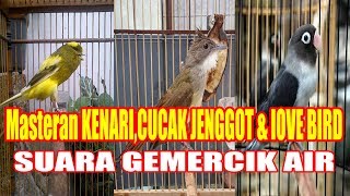 Mix Masteran KENARI,CUCAK JENGGOT & lOVE BIRD   SUARA GEMERCIK AIR