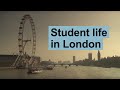 Studying with UCL Laws in London