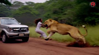 If These Animal Moments Were Not Filmed, No One Would Have Believed Them!