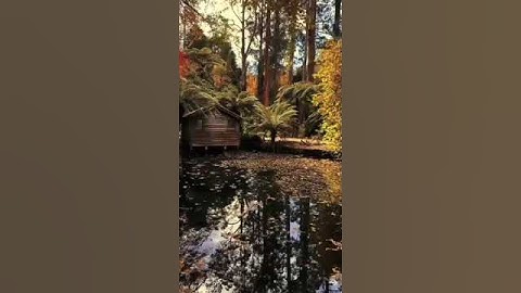 #وإن الله علي نصرهم لقدير #سورة #الحج