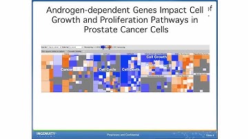 Transcription factor activation & inhibition in microRNA, mRNA & RNA-Seq cancer-related experiments