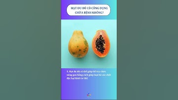 CÔNG DỤNG CHỮA BỆNH CỦA HẠT ĐU ĐỦ