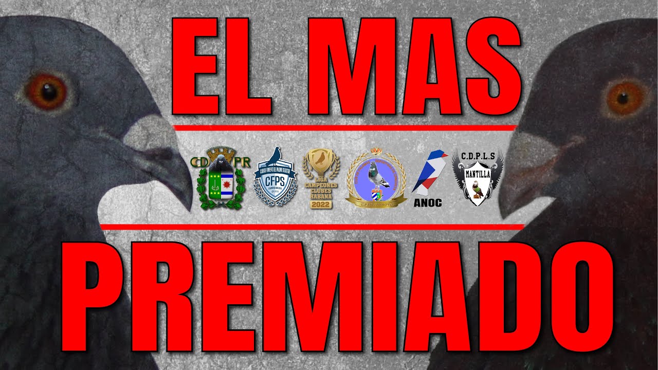 EL PALOMERO MAS PREMIADO DE CUBA 2022