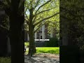 University of Oregon freezes hiring amid $65 million budget gap