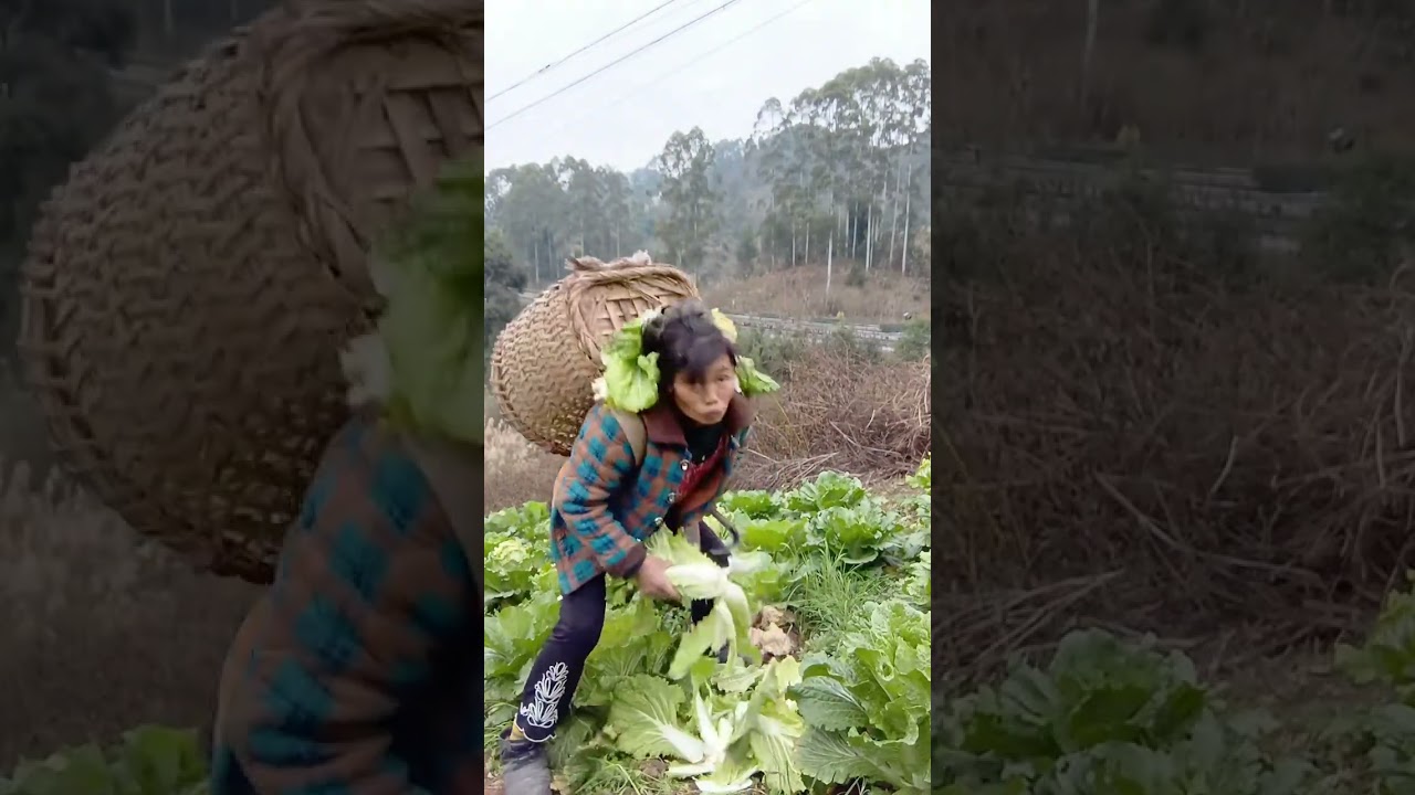 Revolutionary Green Delight: Nature's Chef in Action