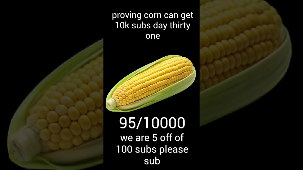 proving corn can get 10k subs day thirty one