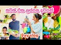         village life  day vlog  my diary