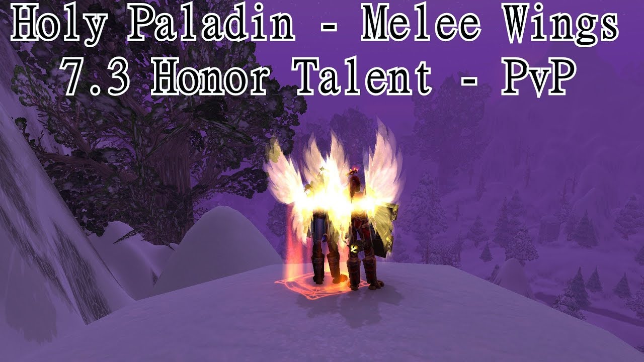 Melee Wings (Honor Talent) Holy Paladin PvP Montage (7.3 110)