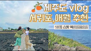 제주도vlog 애월, 서귀포 18곳 추천코스!!/ 제주도에서 요리하기:)