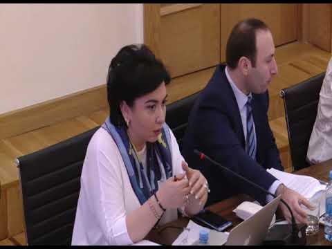 დროებითი საგამოძიებო კომისიის სხდომა N7 - II ნაწილი, 02.07.2018